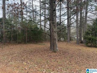 433 6TH STREET N, Pell City, AL 35125