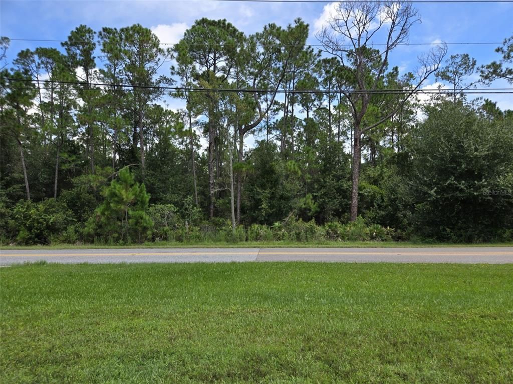13887 REAMS ROAD, Windermere, FL 34786