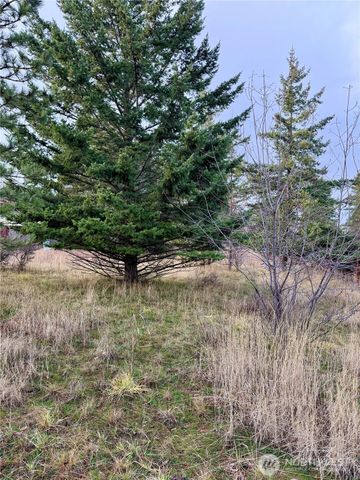 0 Morrison Canyon Lane, Cle Elum, WA 98922
