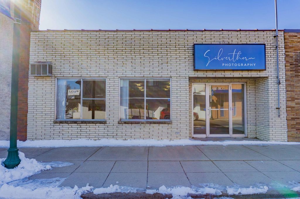 223 Elm Street W, Norwood Young America, MN 55368 — photo 2