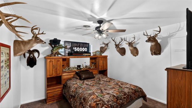 405 N Main Street, Franklin, TX 77856