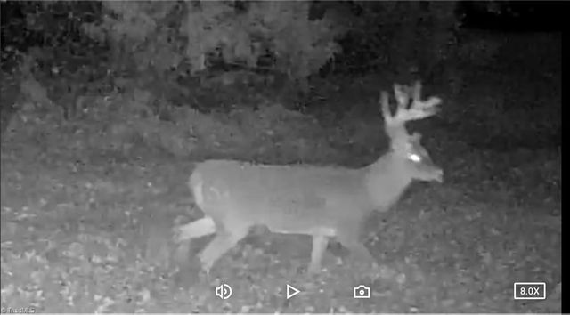 6573 Monnett Road, Climax, NC 27233