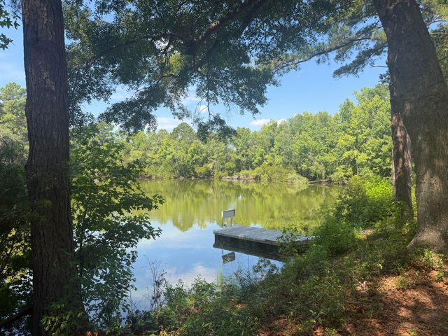 3242 Cape Road, Johns Island, SC 29455