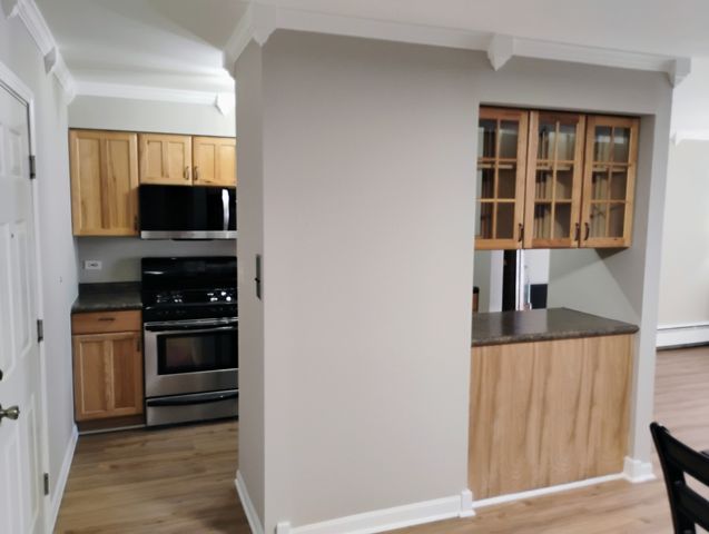 910 W Alleghany Drive 2B, Arlington Heights, IL 60004