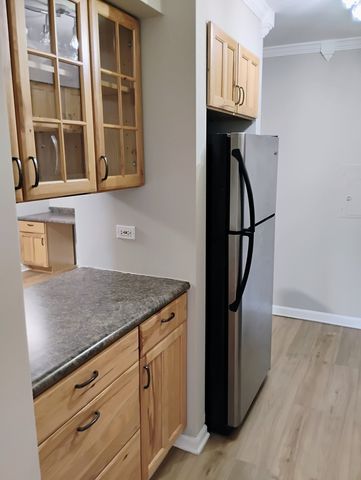 910 W Alleghany Drive 2B, Arlington Heights, IL 60004