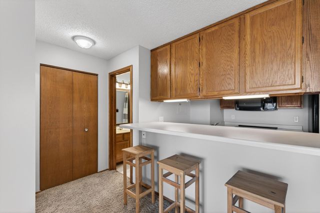 433 S 7th Street 1924, Minneapolis, MN 55415