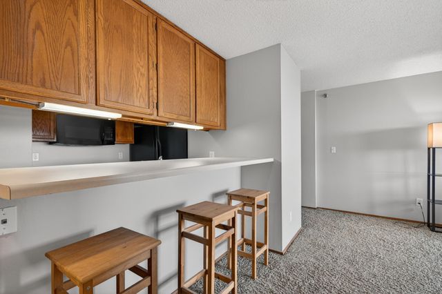 433 S 7th Street 1924, Minneapolis, MN 55415