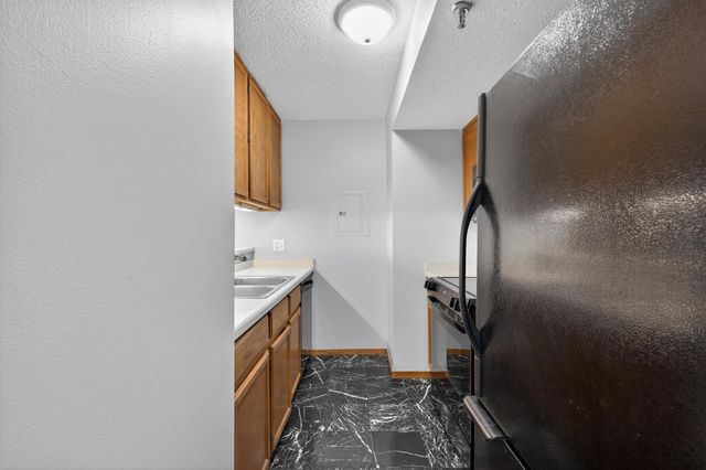 433 S 7th Street 1924, Minneapolis, MN 55415