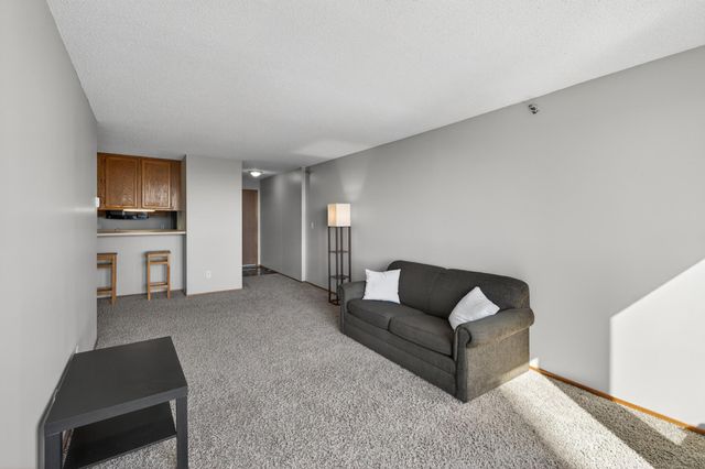 433 S 7th Street 1924, Minneapolis, MN 55415