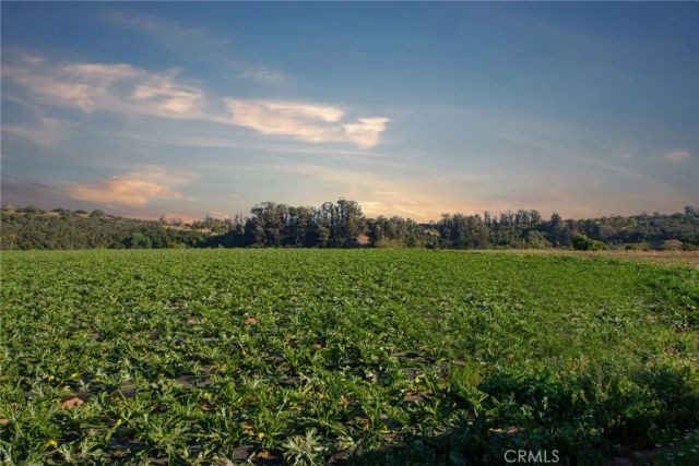 1680 Los Berros, Arroyo Grande, CA 93420