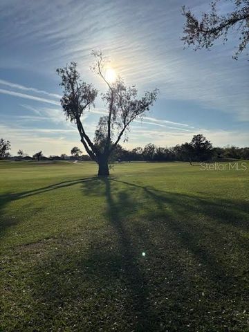 1433 EMERALD HILL WAY, Valrico, FL 33594