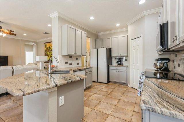 1433 EMERALD HILL WAY, Valrico, FL 33594