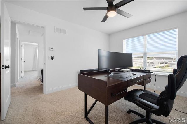 251 Randlin Drive, O'fallon, MO 63367