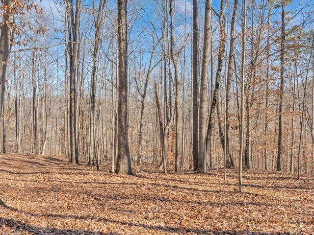 1511 Eggleston Falls RD, Ridgeway, VA 24148