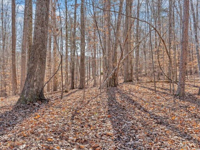 1511 Eggleston Falls RD, Ridgeway, VA 24148