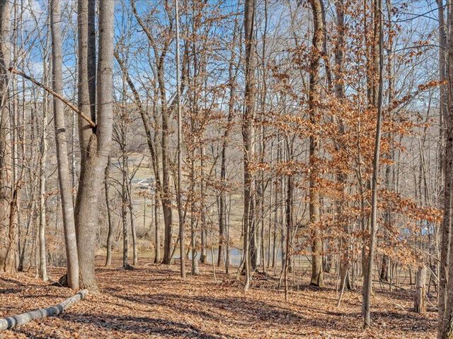 1511 Eggleston Falls RD, Ridgeway, VA 24148