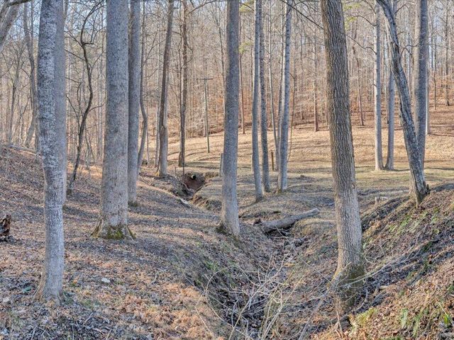 1511 Eggleston Falls RD, Ridgeway, VA 24148