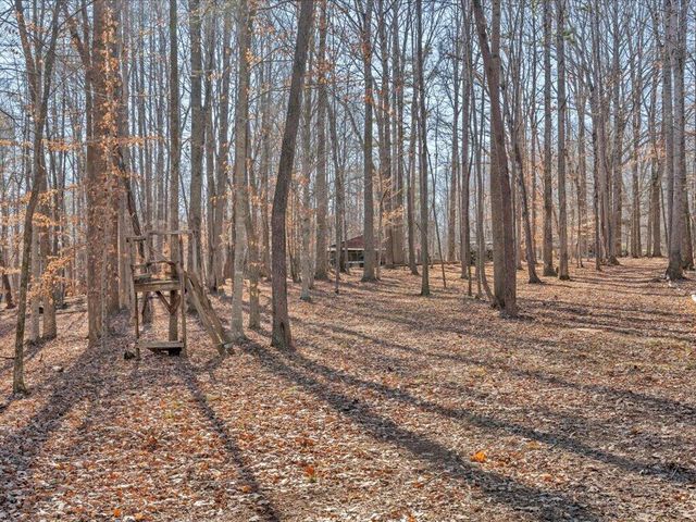 1511 Eggleston Falls RD, Ridgeway, VA 24148