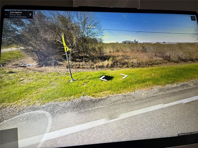 000 Fm-2919, Beasley, TX 77417