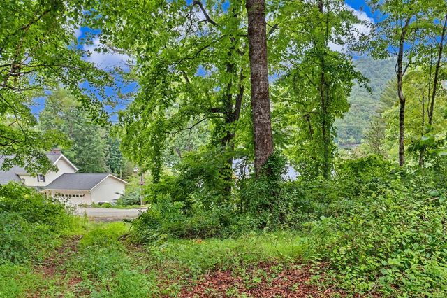 488 Dogwood Place, Hiawassee, GA 30546