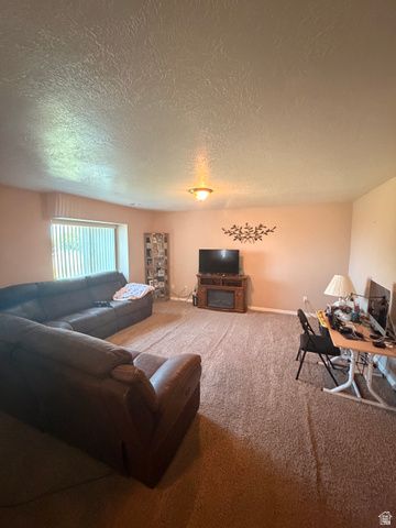 774 E 1150 N, Springville, UT 84663
