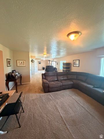774 E 1150 N, Springville, UT 84663