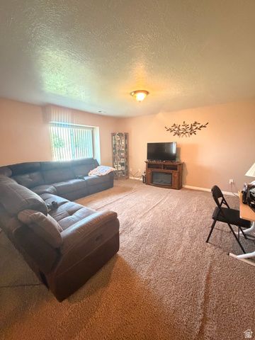 774 E 1150 N, Springville, UT 84663