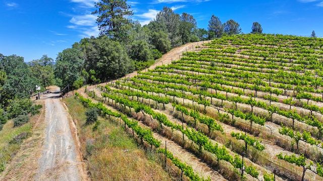 4941 D Agostini Dr, Somerset, CA 95684