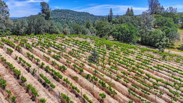 4941 D Agostini Dr, Somerset, CA 95684