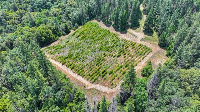 4941 D Agostini Dr, Somerset, CA 95684