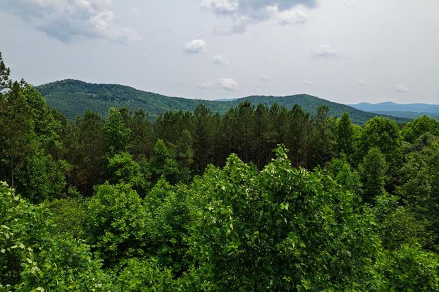 239 Ridge Top Drive, Ellijay, GA 30536