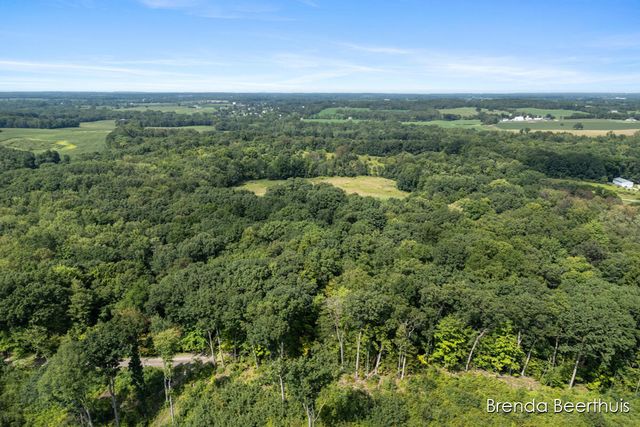 11301 108th Street Se, Bowne Twp, MI 49325