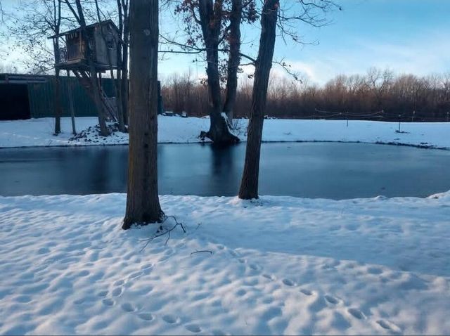 11301 108th Street Se, Bowne Twp, MI 49325