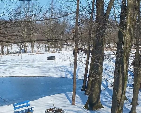 11301 108th Street Se, Bowne Twp, MI 49325