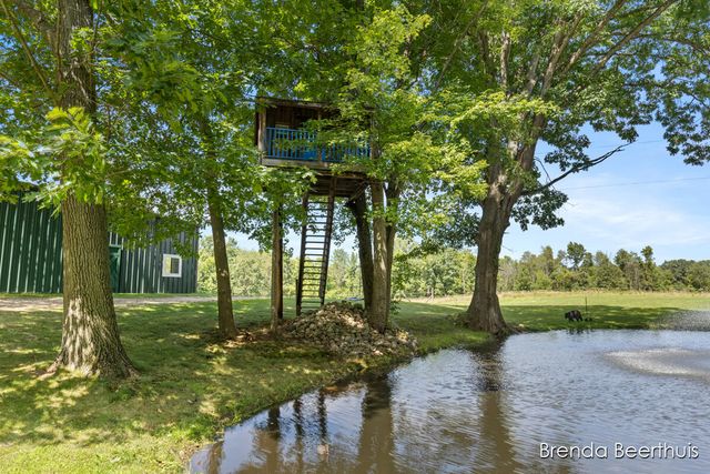 11301 108th Street Se, Bowne Twp, MI 49325