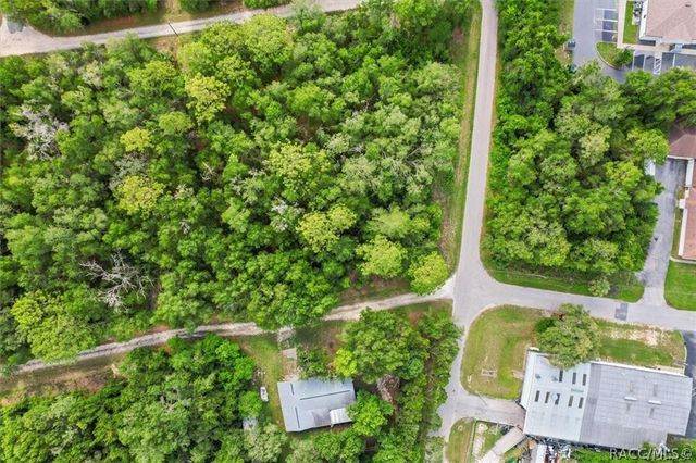 751 S Norma Avenue, Inverness, FL 34453