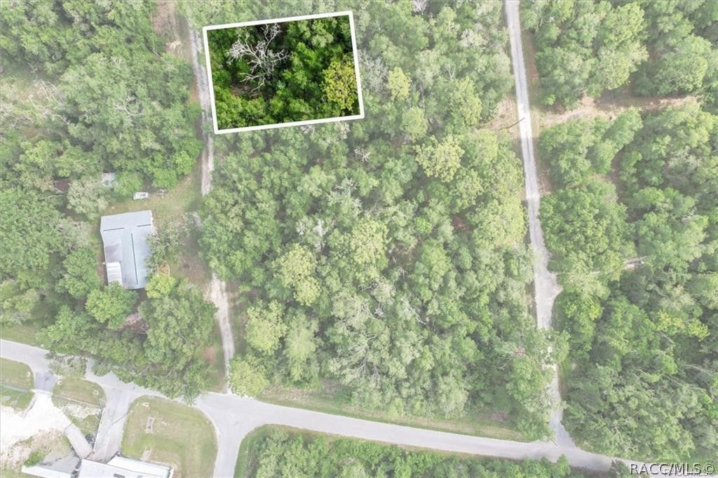 751 S Norma Avenue, Inverness, FL 34453