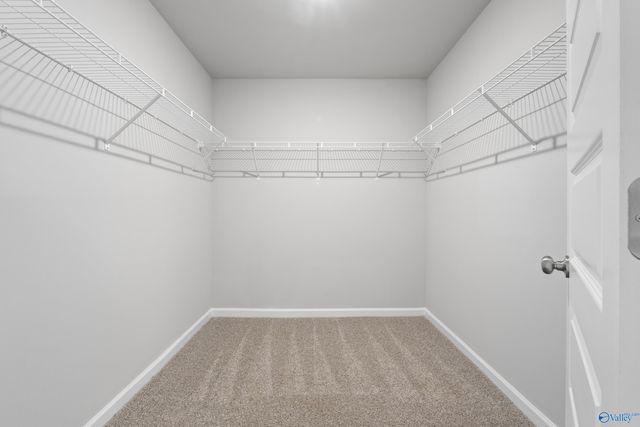 111 Coral Bells Road, Toney, AL 35773