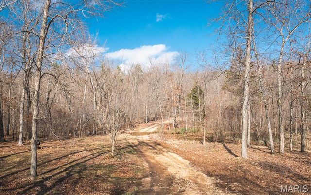 760 County Road 203, Annapolis, MO 63620