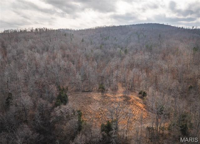 760 County Road 203, Annapolis, MO 63620