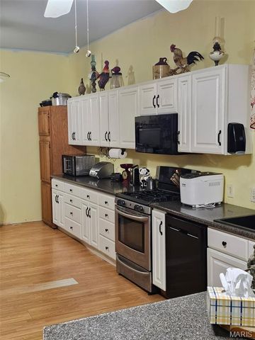 760 County Road 203, Annapolis, MO 63620