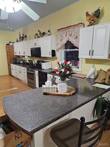 760 County Road 203, Annapolis, MO 63620