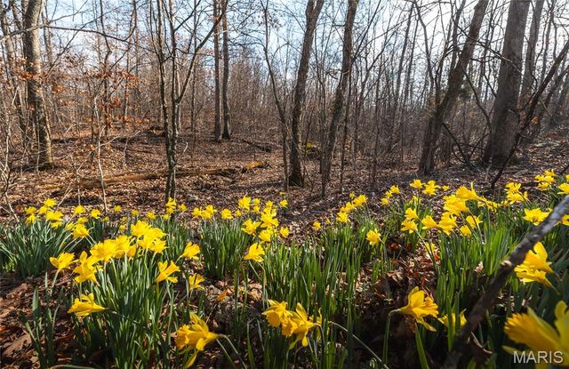 760 County Road 203, Annapolis, MO 63620