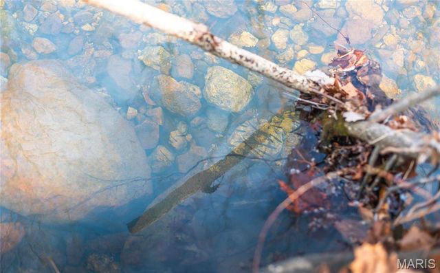 760 County Road 203, Annapolis, MO 63620