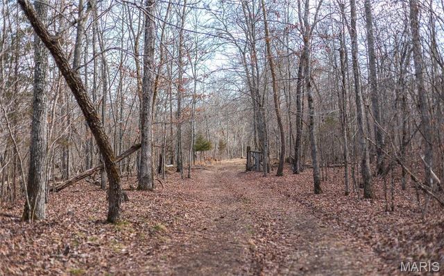 760 County Road 203, Annapolis, MO 63620