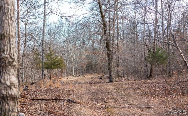 760 County Road 203, Annapolis, MO 63620