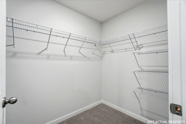 5899 Scarlet Birch Drive, Canal Winchester, OH 43110