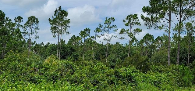 NW 268TH STREET, Okeechobee, FL 34972