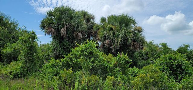 NW 268TH STREET, Okeechobee, FL 34972