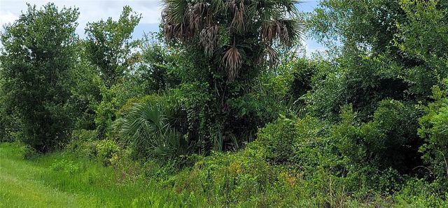 NW 268TH STREET, Okeechobee, FL 34972